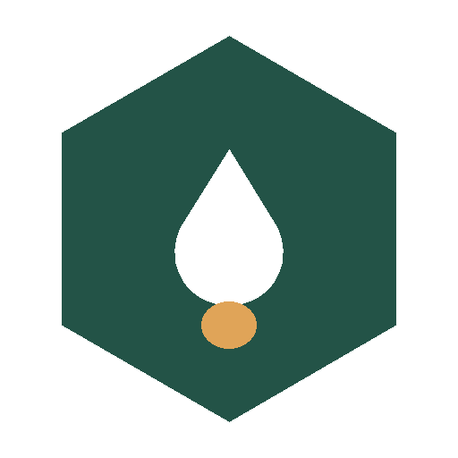 Boise Flood Repair logo