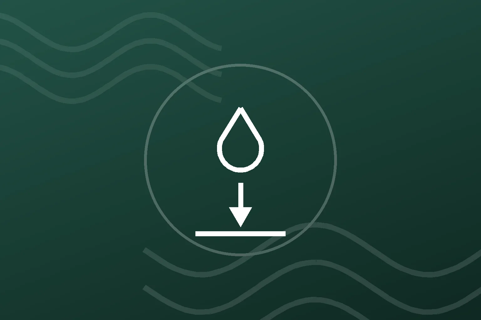 Water extraction and standing water removal in a Boise home